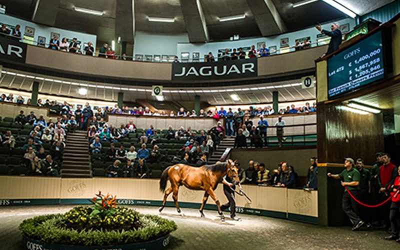 dubawi-ex-beauty-parlour