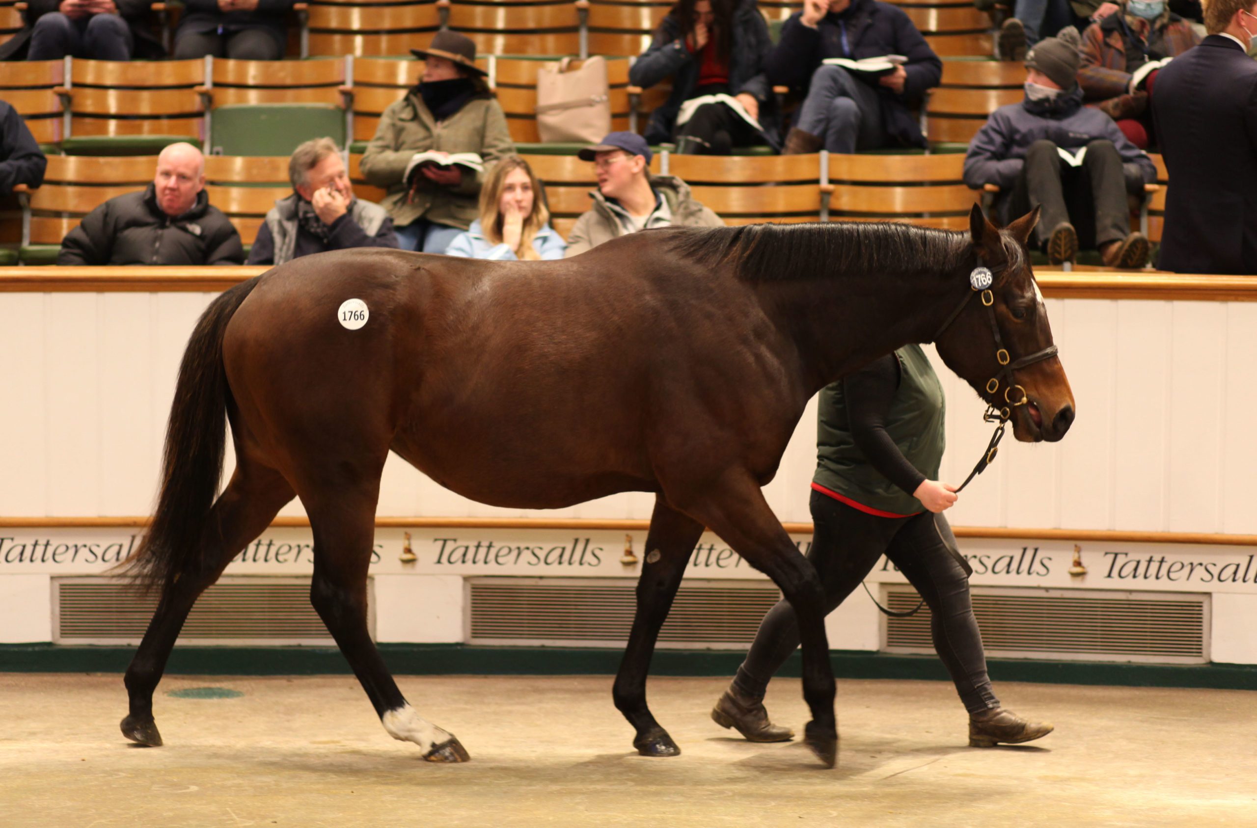 lot 1766 TDM7192 ©Tattersalls