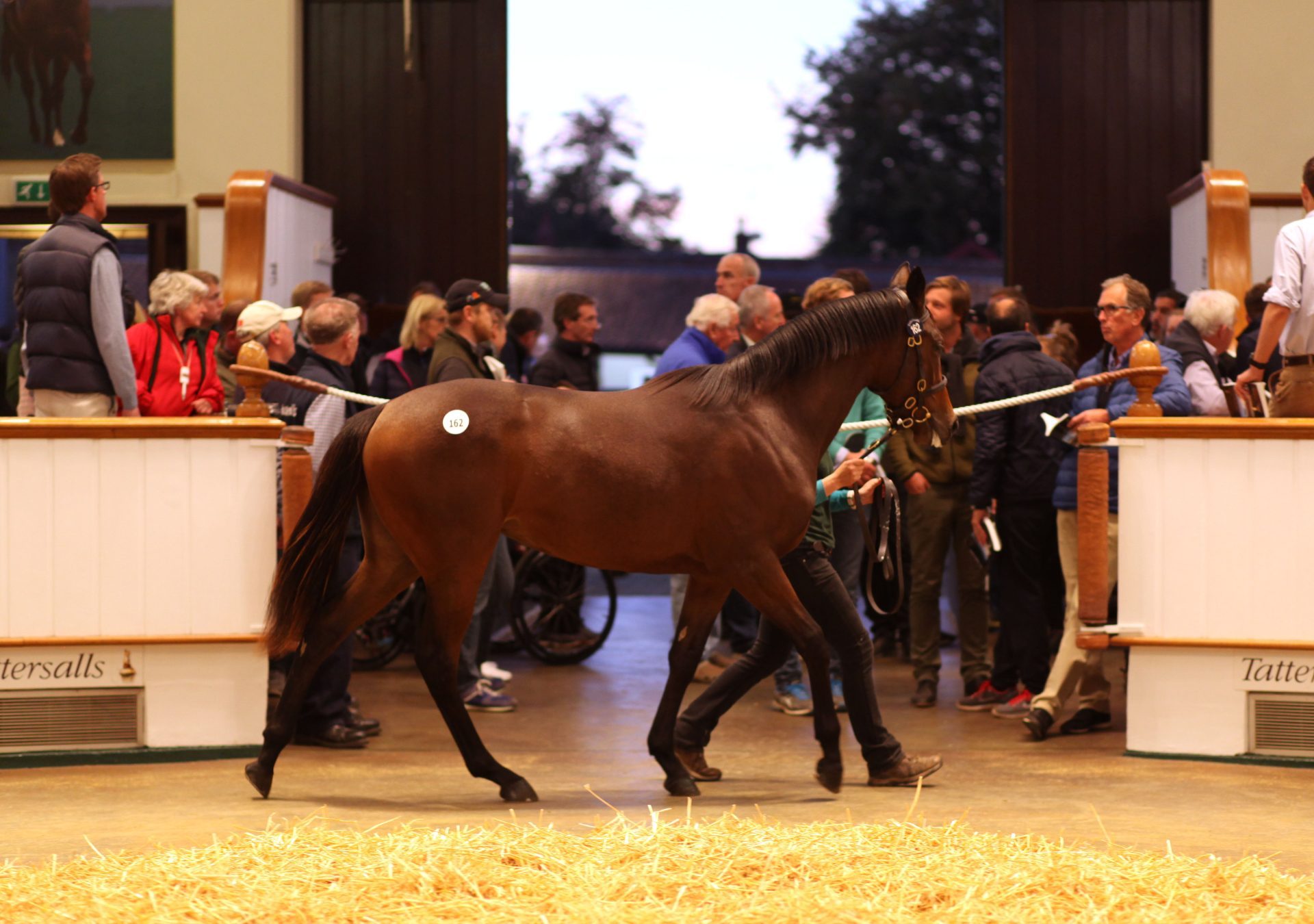 Dubawi ex Time Control auction