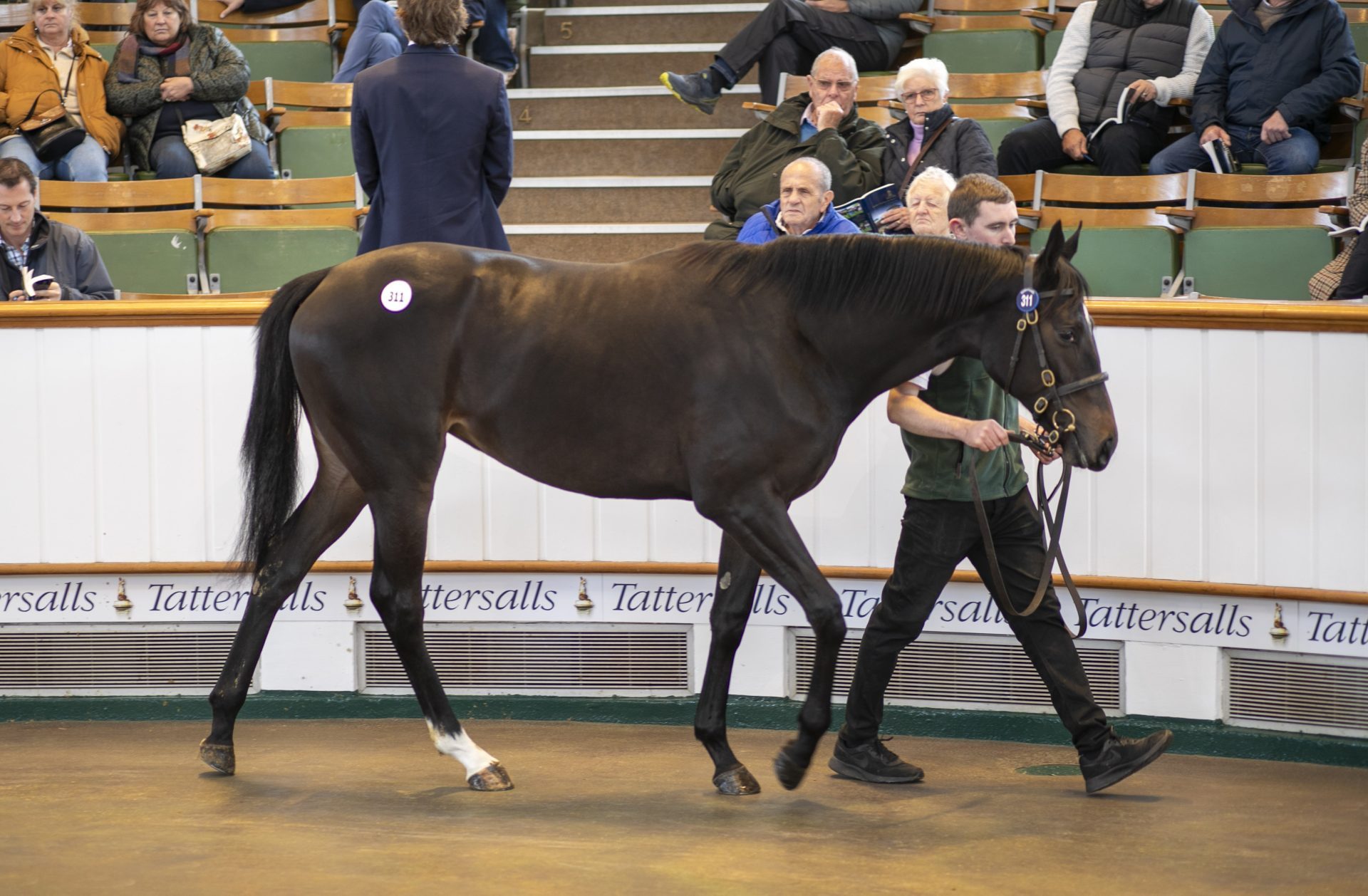 Wootton Bassett ex My Titania auction